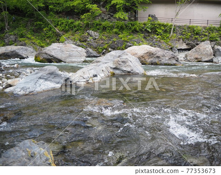 Enjoy in the clear spring Okutama River near the Gyokudo Art Museum at Mitake Station on the JR Ome Line 77353673