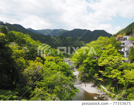 Enjoy in the clear spring Okutama River near the Gyokudo Art Museum at Mitake Station on the JR Ome Line 77353675