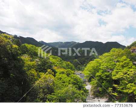 JR青梅線禦岳站玉堂美術館附近，在清澈的奧多摩川暢遊 77353676