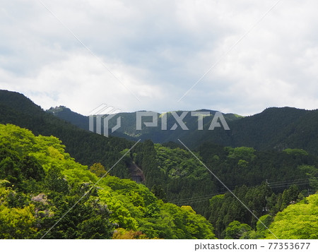 Enjoy in the clear spring Okutama River near the Gyokudo Art Museum at Mitake Station on the JR Ome Line 77353677