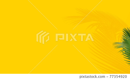 Yellow wall and palm tree silhouette-there are multiple variations Yellow wall and palm tree silhouette-there are multiple variations 77354920