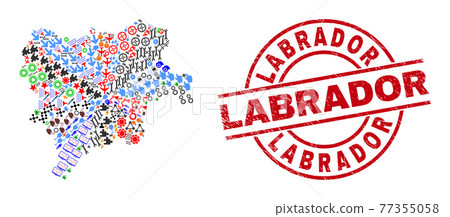 Labrador Grunge Badge and Albacete Province Map Collage of Different Symbols Labrador Grunge Badge and Albacete Province Map Collage of Different Symbols 77355058