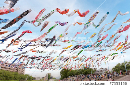 大阪府高月市芥川櫻津公園的鯉魚旗 77355166