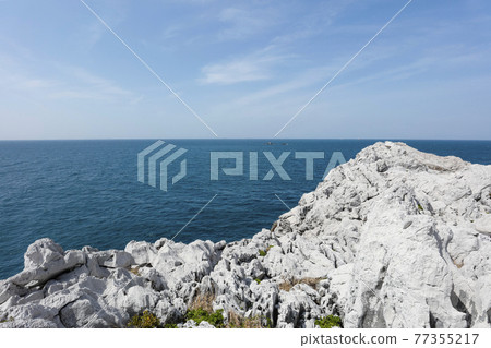 和歌山白崎海洋公園石灰岩 77355217