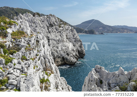 和歌山白崎海洋公園石灰岩 77355220
