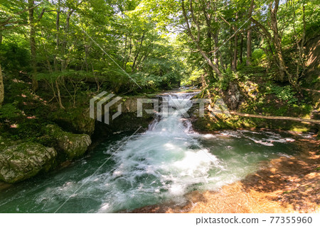 Omata River in Uyashinai, Akita City 77355960