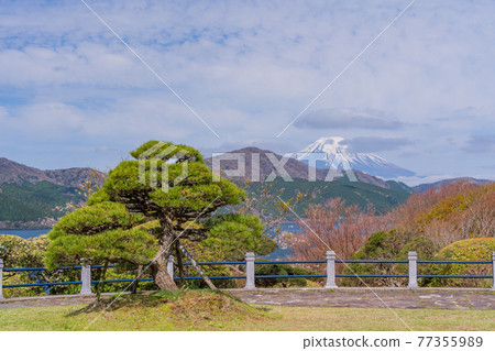 (Kanagawa Prefecture) Mt. Fuji seen from Hakone Park 77355989