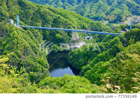 Fresh green Ryujin Big Suspension Bridge View from Akaiwa Observatory 77356149