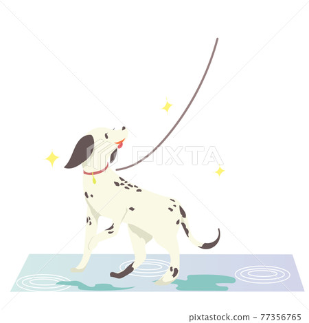 下雨天遛狗 下雨天遛狗 77356765