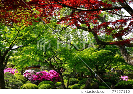 Spring Yushien Spring Yushien 77357110