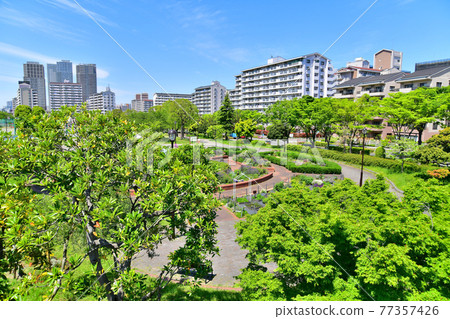 Shioiri Park / River Park Shioiri, looking toward Minamisenju Station (Arakawa-ku, Tokyo) [2021.4] 77357426