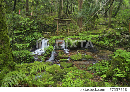 Uruwa Falls (Wakasa Town, Mikatakaminaka District, Fukui Prefecture) 77357838