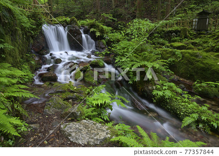 Uruwa Falls (Wakasa Town, Mikatakaminaka District, Fukui Prefecture) 77357844
