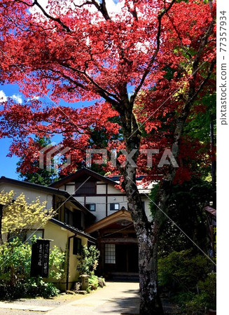禦嶽山之泉:閃耀的紅楓 禦嶽山之泉:閃耀的紅楓 77357934