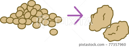 大豆和大豆肉的插圖素材 77357960