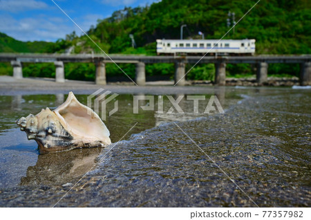 Tropical wave sound 77357982