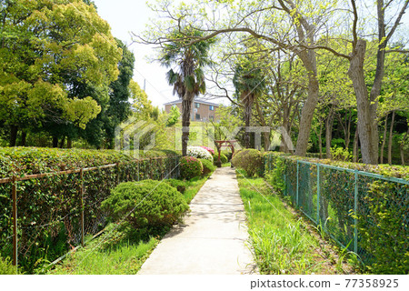 千葉縣船橋市小室公園新綠 千葉縣船橋市小室公園新綠 77358925