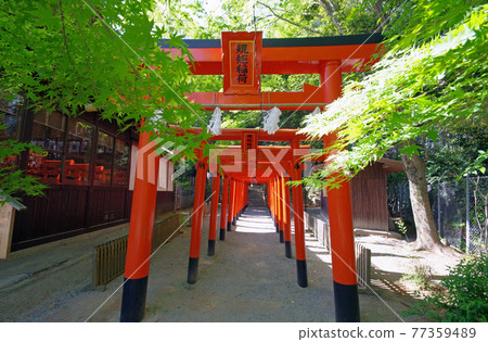 小倉南區加茂八幡神社院內的菊稻荷神社 77359489