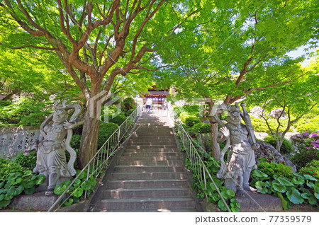 北九州市八幡西區紫藤名勝吉祥寺三門和仁王像 照片素材 圖片 圖庫