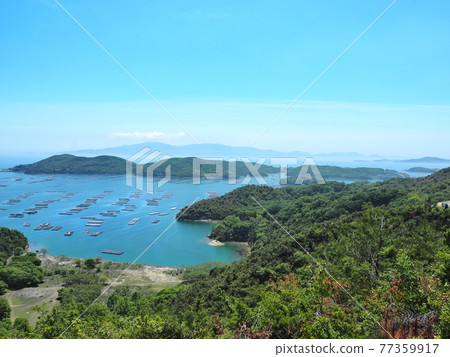 View of Mushimei Bay in early summer View of Mushimei Bay in early summer 77359917