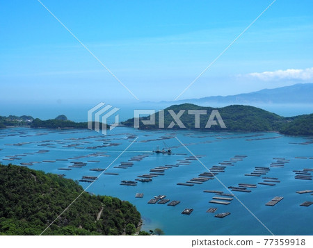 View of Mushimei Bay in early summer 77359918