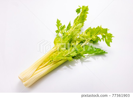 芹菜料 芹菜料 77361903