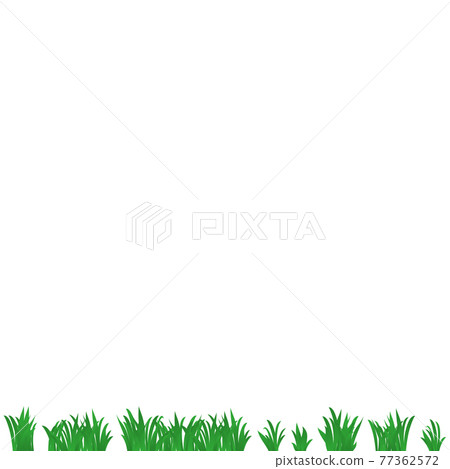 Realistic green meadow grass on white background - Vector Realistic green meadow grass on white background - Vector 77362572