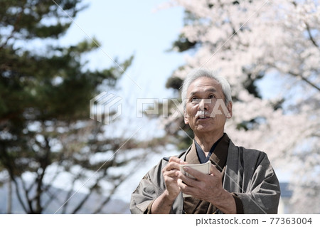 一位身著和服的老人，一朵盛開的櫻花，唱著俳句 77363004