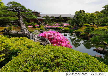 日本庭園的春天 照片素材 圖片 圖庫