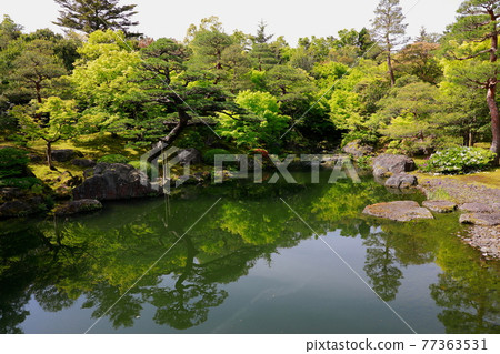 Japanese garden Japanese garden 77363531