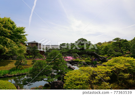 日本庭園 日本庭園 77363539