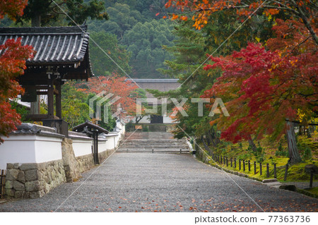 京都Nanzenji秋葉 京都Nanzenji秋葉 77363736