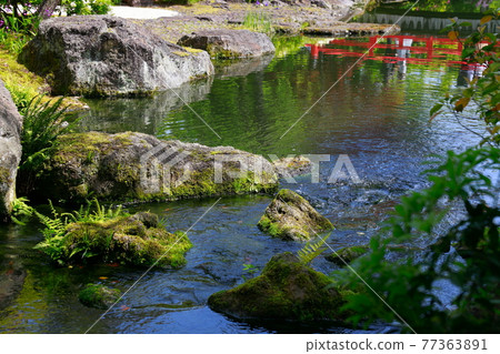 Japanese garden pond Japanese garden pond 77363891