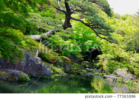 日本花園池塘 日本花園池塘 77363896