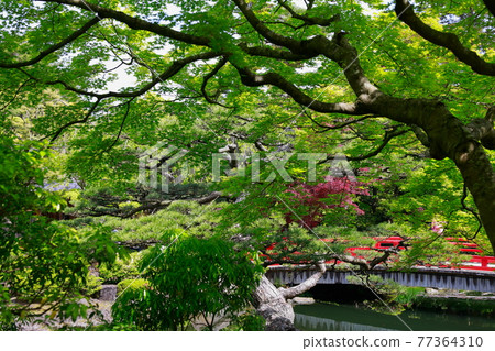 日本庭院橋樑 日本庭院橋樑 77364310