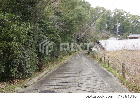 Country road 77364386