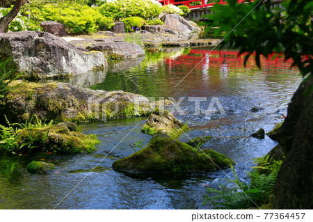 Japanese garden Japanese garden 77364457