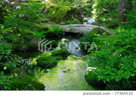日本庭園中的泉水 日本庭園中的泉水 77364510