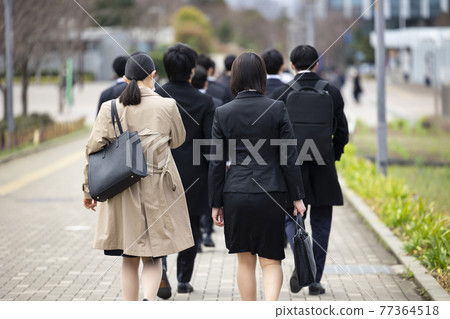 Back view of a female student who is looking for a job 77364518