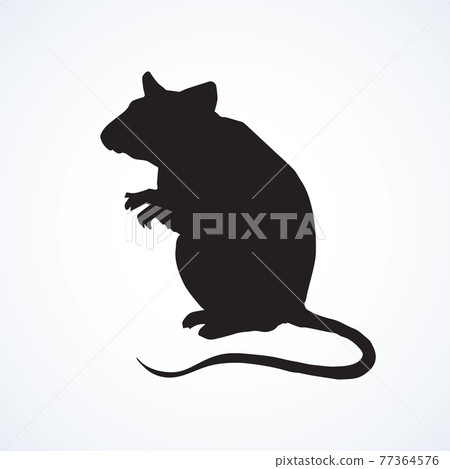 Mouse. Vector drawing 77364576