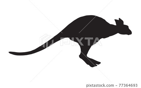 Kangaroo. Vector drawing 77364693