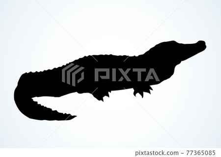 Crocodile. Vector drawing icon sign 77365085