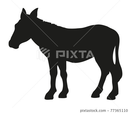 Donkey. Vector drawing Donkey. Vector drawing 77365110