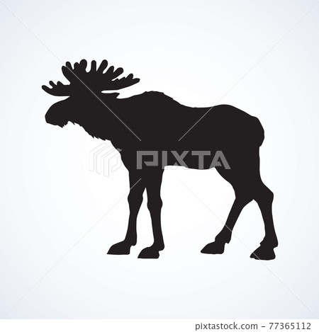 Elk. Vector drawing Elk. Vector drawing 77365112