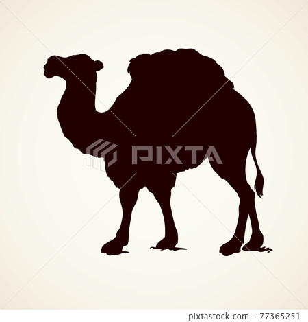 Rhinoceros. Vector drawing 77365251