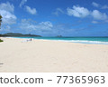 Hawaii Beach 77365963