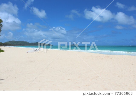 夏威夷海灘 夏威夷海灘 77365963