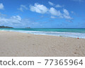 Hawaii Beach 77365964