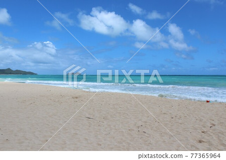 夏威夷海灘 夏威夷海灘 77365964