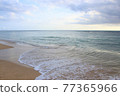 coastline  77365966